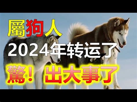 屬狗今日財運方位|【屬狗方位】肖狗方位運勢大揭秘：最適宜的樓層、方位導引